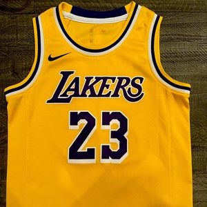 Nike Youth Los Angeles Lakers Lebron James #23 Swingman Edition Jersey